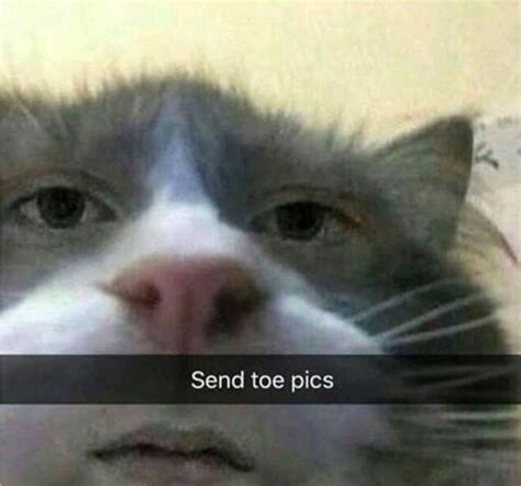 send pics meme